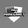 Not Minecraft
