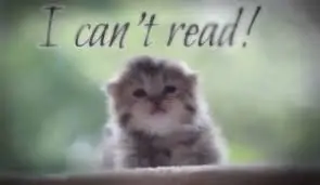 9 million cats