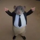 Richard Pack The Squeakuel