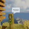 Pezdez