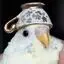 Flat Bird Society The Second