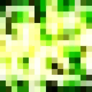 PovertyCraft