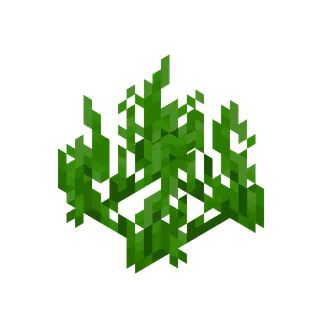 Neutral Sea Grass and Kelp