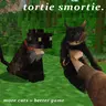 tortoiseshell tortoisesmell