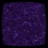 Purple End Portal