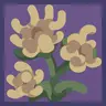 [Let's Do] Less vibrant flowers