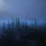 Deep Ocean Panorama