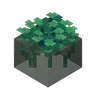 Dungeons Water Plant