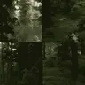 Background - Photorealistic Forest