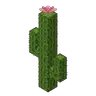 Cactus Arms