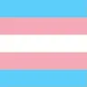 Trans XP Bar