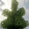dronko's alternative Bushy Leaves X nature's spirit