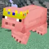 Technoblade Name Pigs