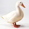 Duck Totem 3D