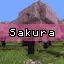 Cherry to Sakura