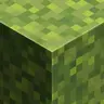 Starry's Randomized Moss