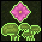 Fancy Plants