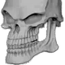 Skeleton Bad to the Bone