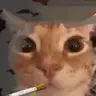 cat cigarette resource pack