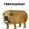 Гавкошмыг (Gavkoshmig) Totem of Undying