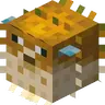 pufferfish cpvp txt