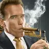 Cigar rp