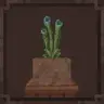 Excalibur | Botany Pots support