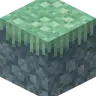Bonsai's Aether Resprite