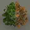 Bushy Leaf Decay