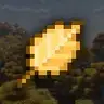 Golden Leaves