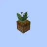 Toasty's Fresher Ferns