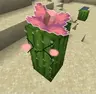 3D Cactus Flowers
