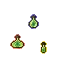 Loka XP Bottles