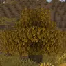 Autumn Time (Fall Time)