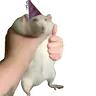 Happy_Rat totem