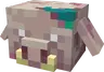 Biome Piglins