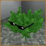 Bushiest Bushes