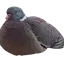 Loaf Pigeon Totem