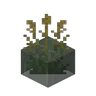 Reeds