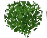 ShaSins Better leaves