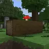 Peaceful Nature