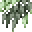 notandvm's spanish moss!