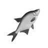 Fish Bream Sword / Лещ  в виде Меча