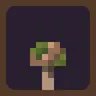 Mossy Mushrooms