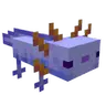Always Blue Axolotl