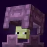 Enhanced Shulkers