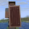 Shield Recolor