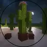 Evol's 3D Cactus Overhaul