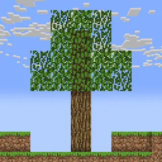 Modern Legacy Oak Trees