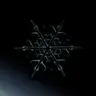 MxSxC1 Black Snow